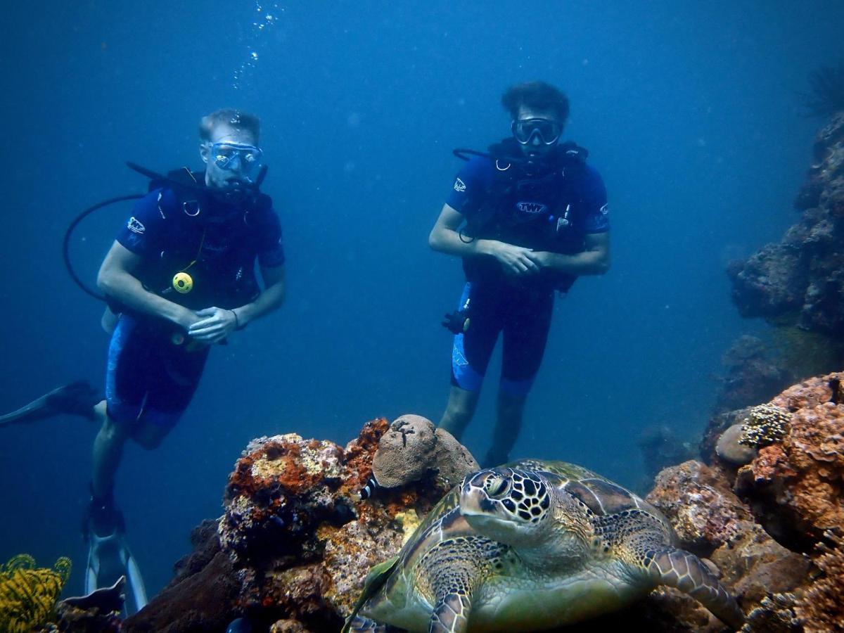 Alegria Dive Resort Экстерьер фото